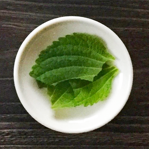韓国料理によく使われるえごまの葉は、手で大きめにちぎって。