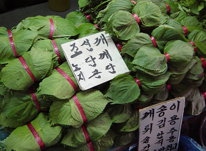 えごまの葉(깻잎)ケンニプ