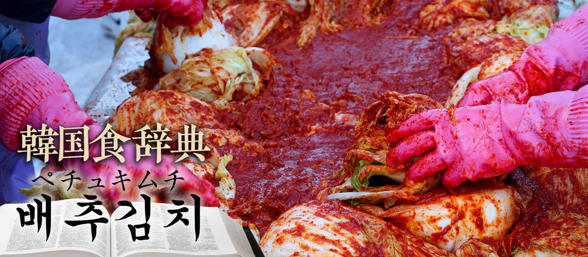 韓国食辞典「ペチュキムチ」