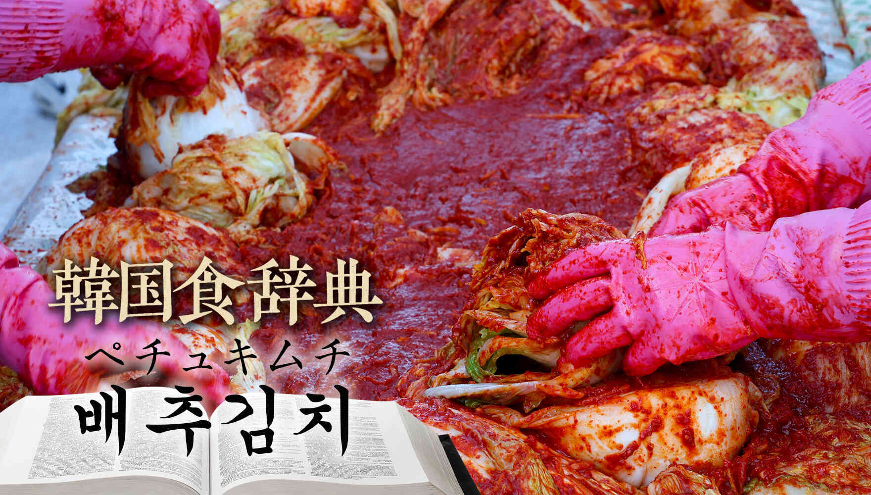 韓国食辞典「ペチュキムチ」