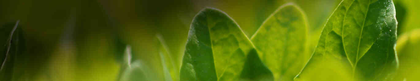 ジャン×春野菜レシピ