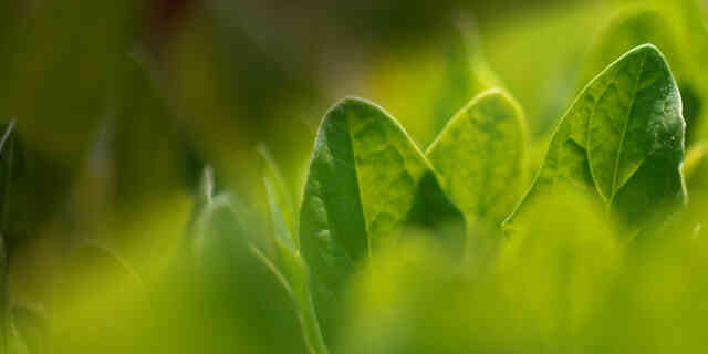 ジャン×春野菜レシピ