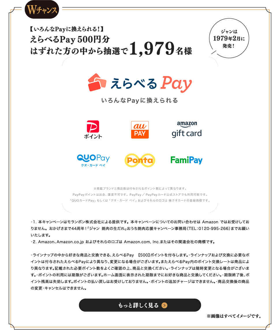 Wチャンス【いろんなPayに換えられる！】えらべるPay 500円分 はずれた方の中から抽選で1,979名様