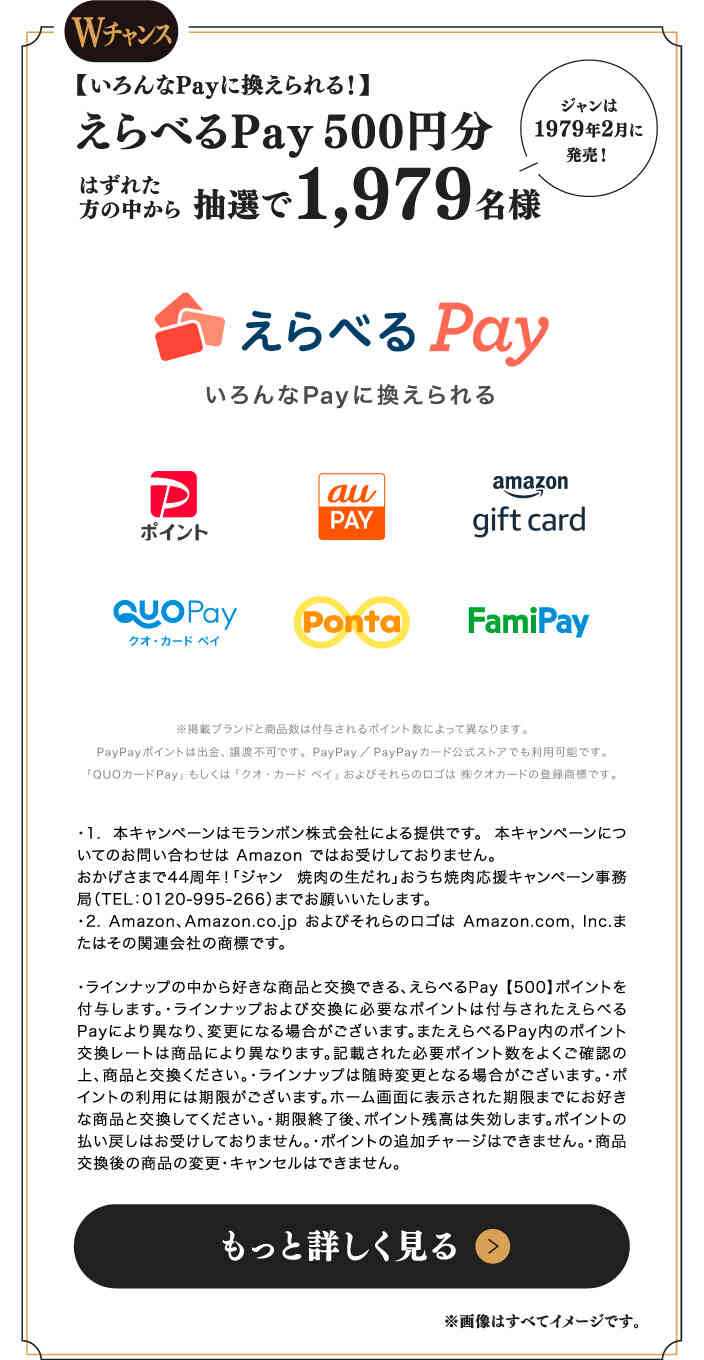 Wチャンス【いろんなPayに換えられる！】えらべるPay 500円分 はずれた方の中から抽選で1,979名様