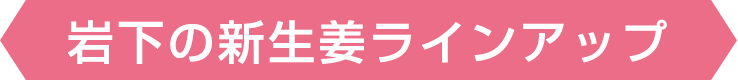 岩下の新生姜ラインアップ