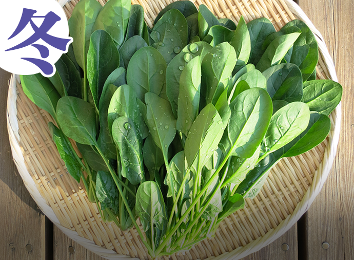 無限に広がるナムルレシピ（冬編）