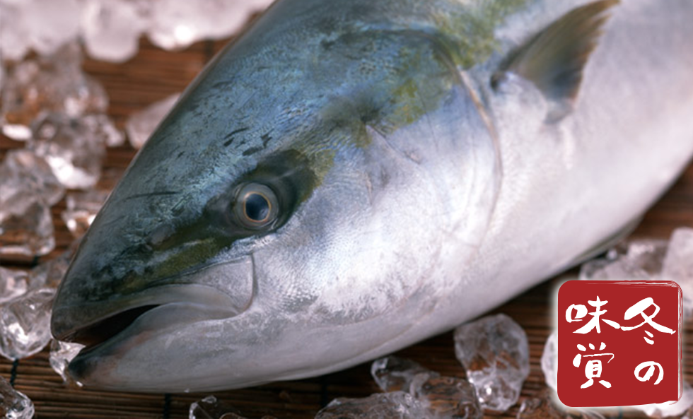 旬の魚介レシピ 冬編