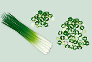 ねぎが主役のねぎ焼