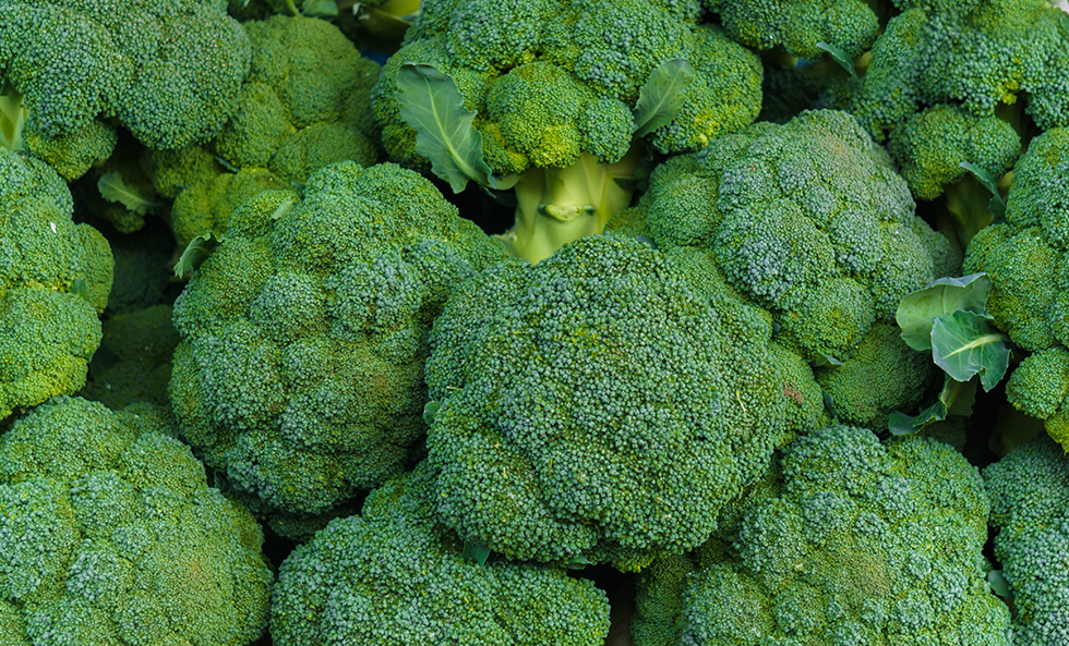 ブロッコリーレシピ