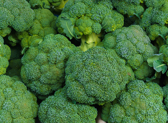 ブロッコリーレシピ