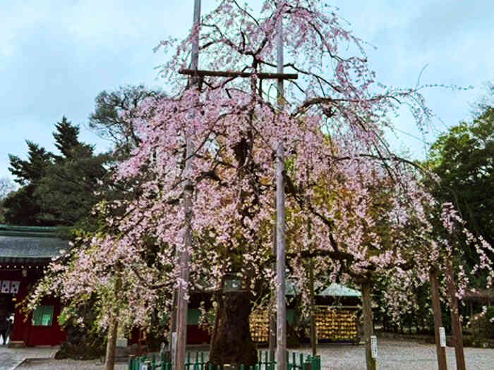 2026年度 入社式を執り行いました！