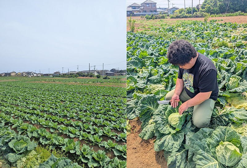 「Hennery Farm」坂尾英彦さん