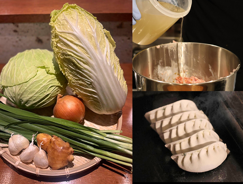 スタンダート餃子