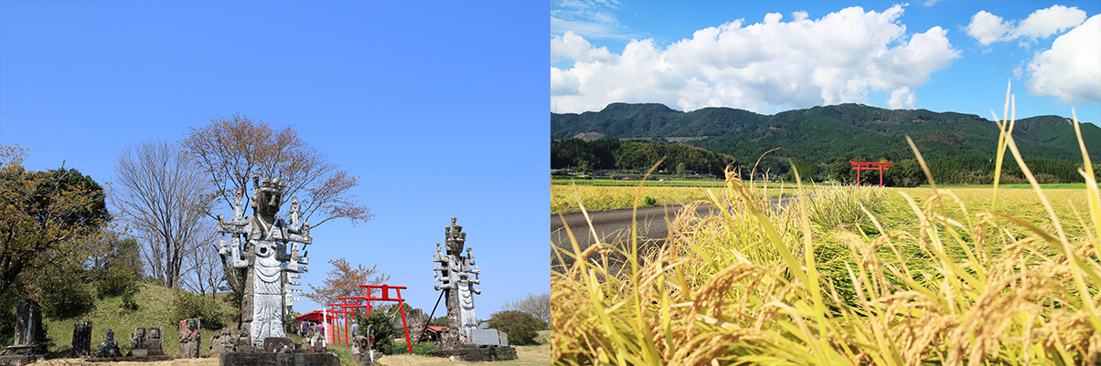 宮崎の食材を活かした餃子