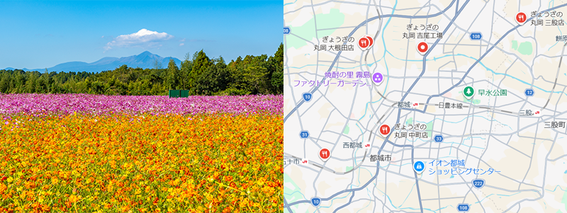 ぎょうざの丸岡